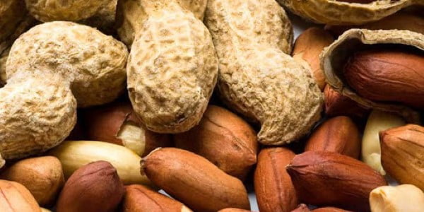 تصویر 5 از خرید و قیمت بادام زمینی آستارا + فروش صادراتی
